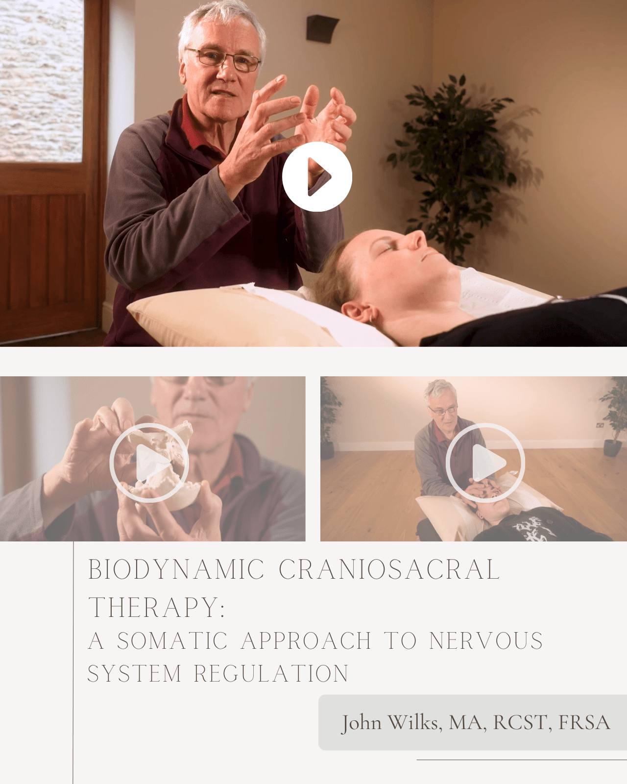Biodynamic Craniosacral Therapy: A Somatic Approach to Nervous System Regulation - Chiropractic Continuing Education, Adjunctive/Modalities, 5 Hours A Better Chiro
