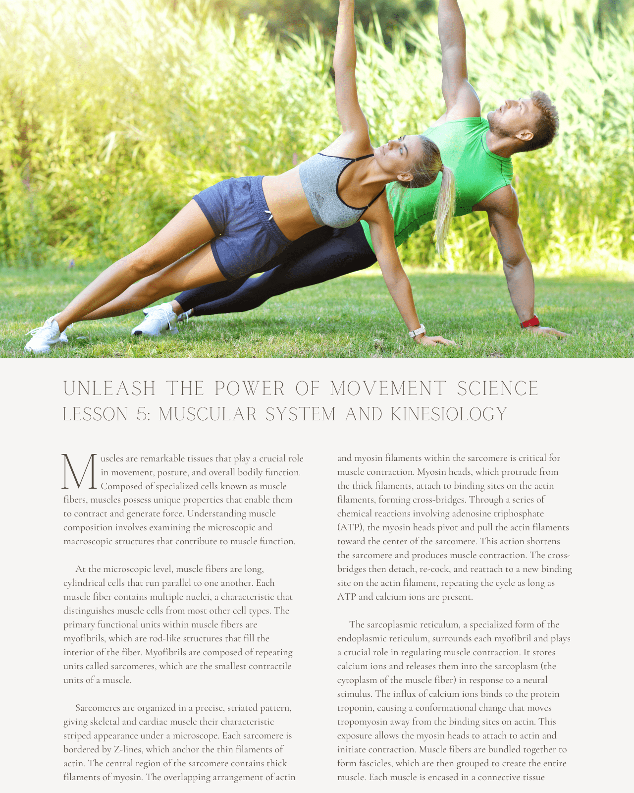 The Kinesiology Advantage: Unleash the Power of Movement Science in Chiropractic - Chiropractic Continuing Education, General, Biomechanics, 12 Credits A Better Chiro