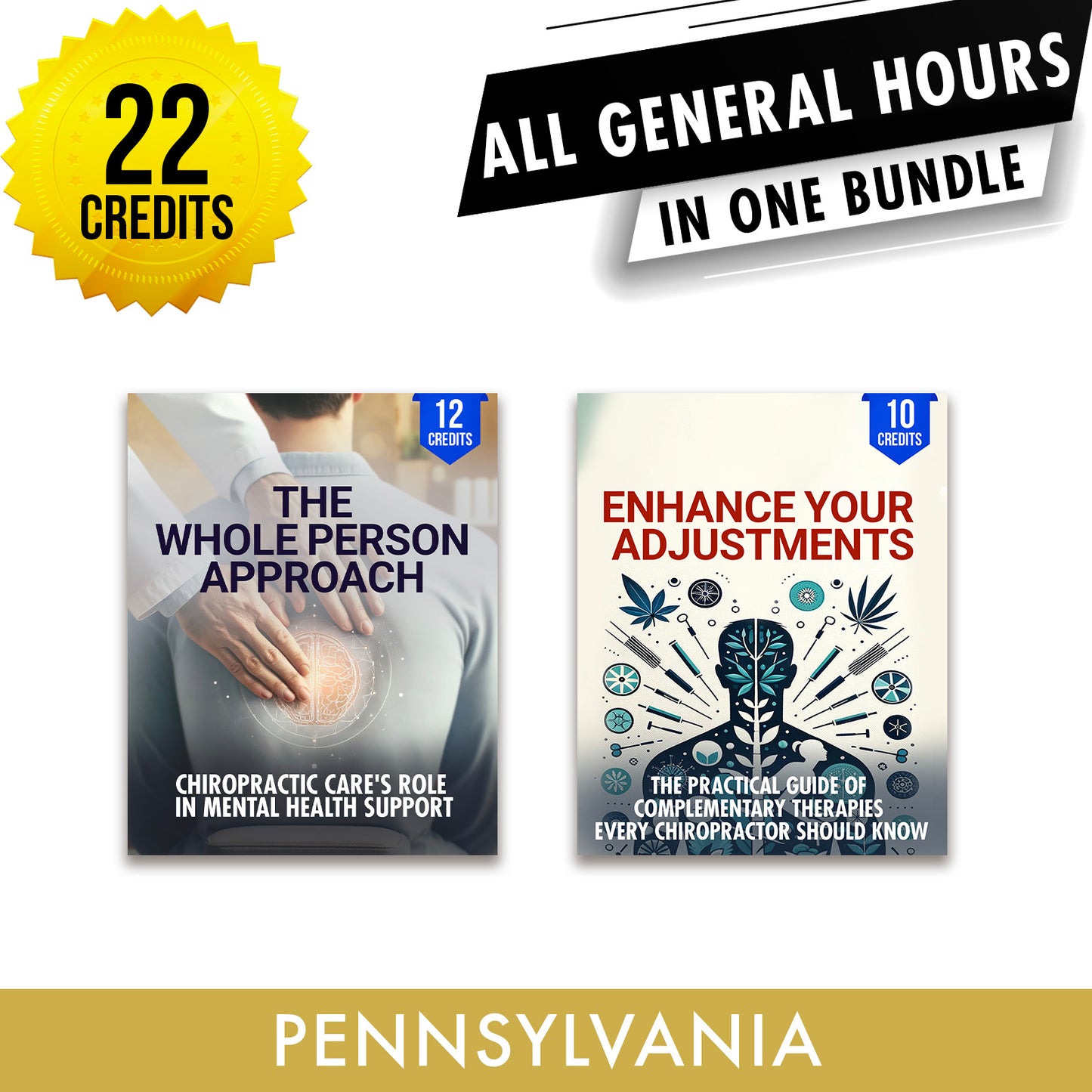 Pennsylvania Online CE Package 3: Independent Study Package, Chiropractic Continuing Education, 22 Credits A Better Chiro