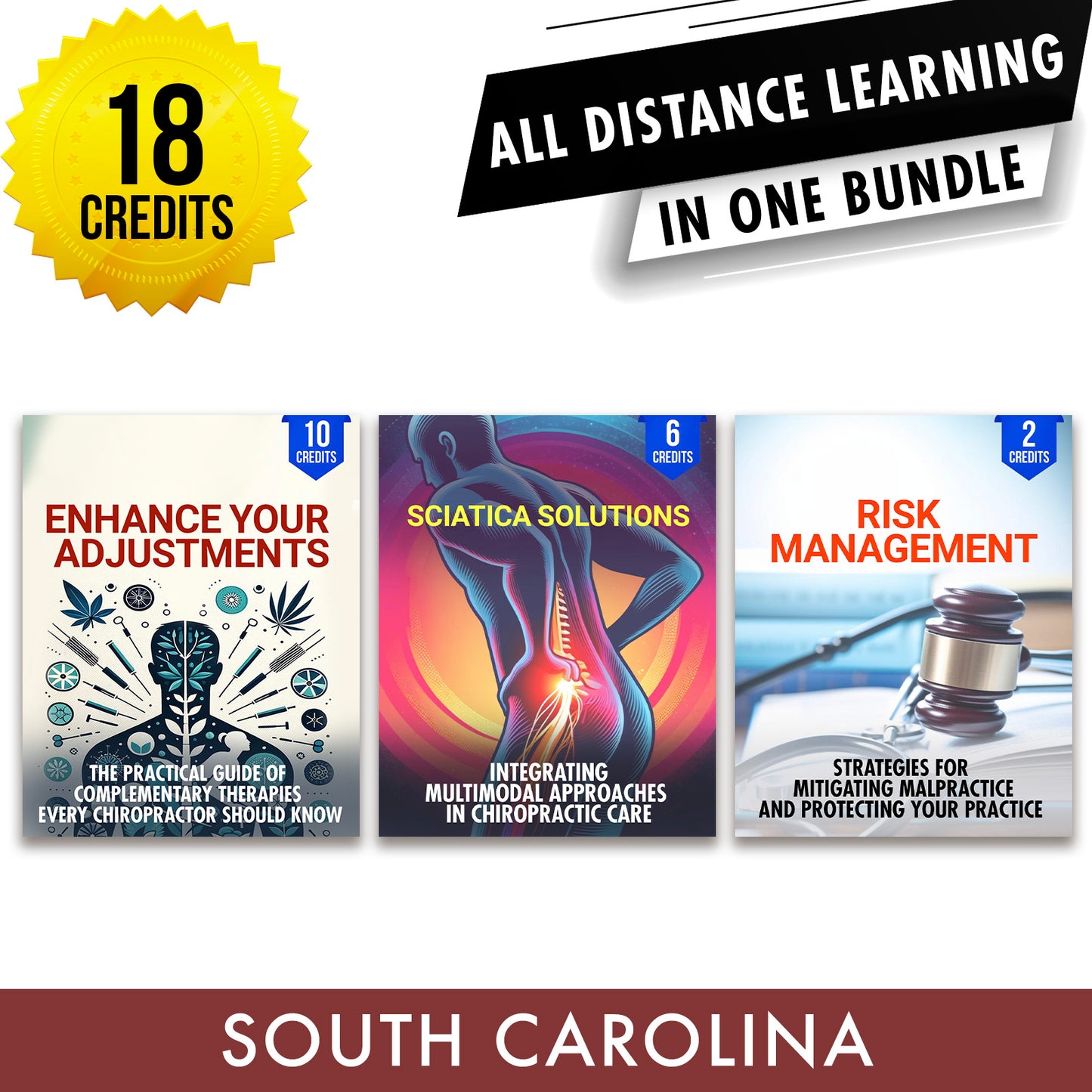 South Carolina Online CE Bundle 2: Independent Study Package, Chiropractic Continuing Education, 18 Credits A Better Chiro