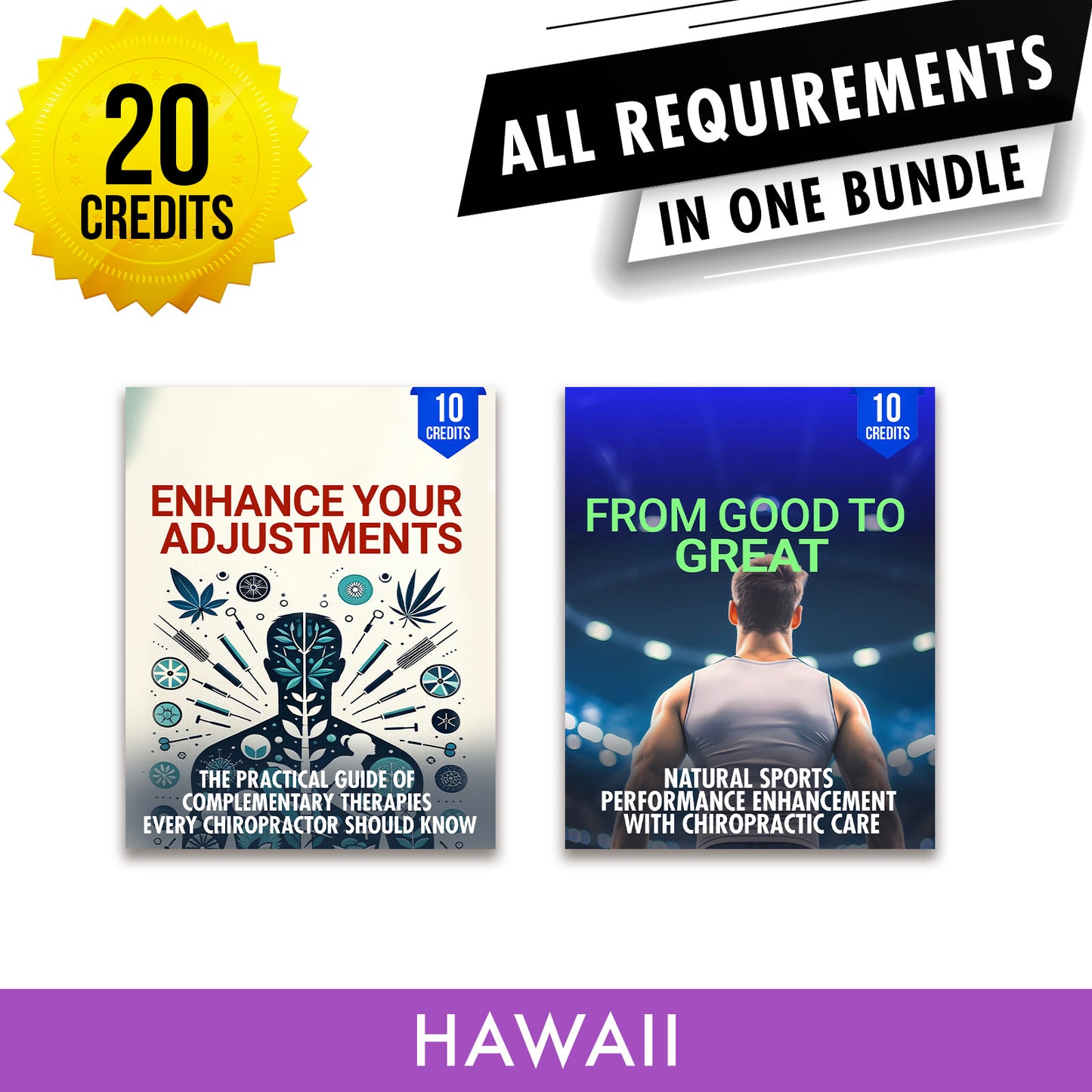Hawaii Package 3: Full Recertification - All Required Chiropractic Continuing Education Hours in One Package, 20 Credits A Better Chiro
