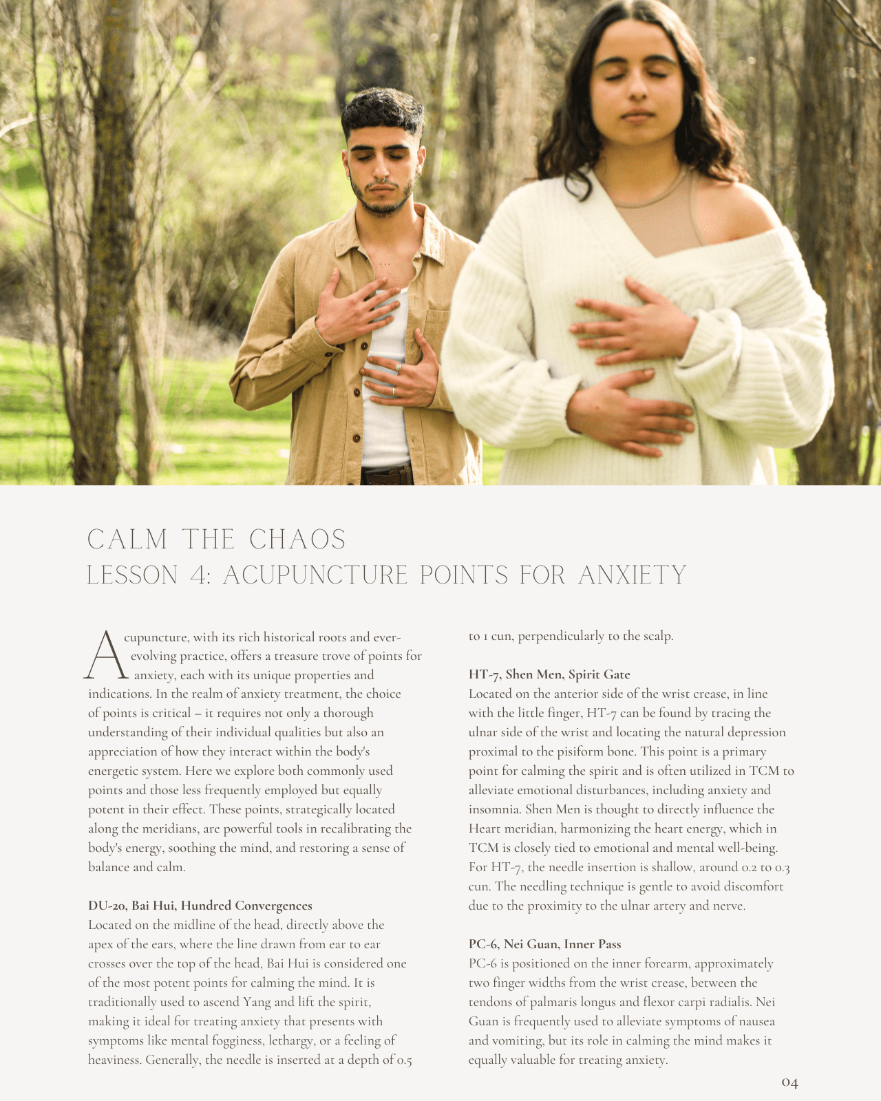 Calm The Chaos: The Acupuncture Approach to Anxiety - Chiropractic Continuing Education, Acupuncture, 10 Credits A Better Chiro