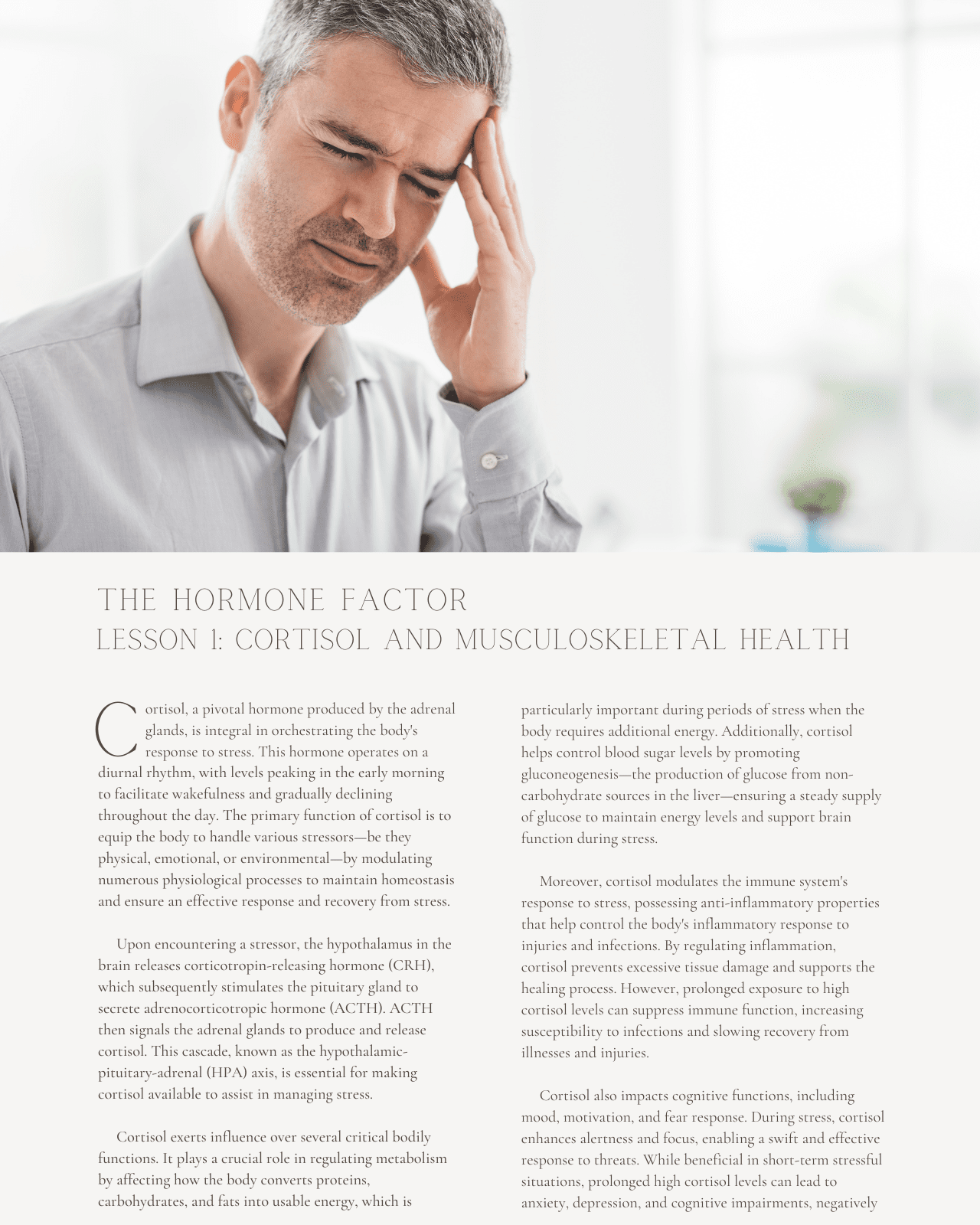 The Hormone Factor: Chiropractic Approach for Hormonal Imbalance and Musculoskeletal Function - Chiropractic Continuing Education, General, 10 Credits A Better Chiro