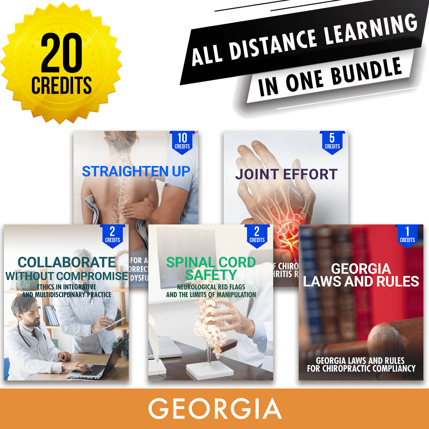 Georgia Online CE Bundle 1: *NEW FOR 2026* Independent Study Package, Chiropractic Continuing Education, 20 Credits A Better Chiro
