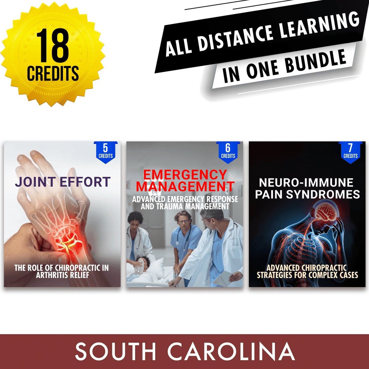 South Carolina Online CE Bundle 2: *NEW* Independent Study Package, Chiropractic Continuing Education, 18 Credits A Better Chiro