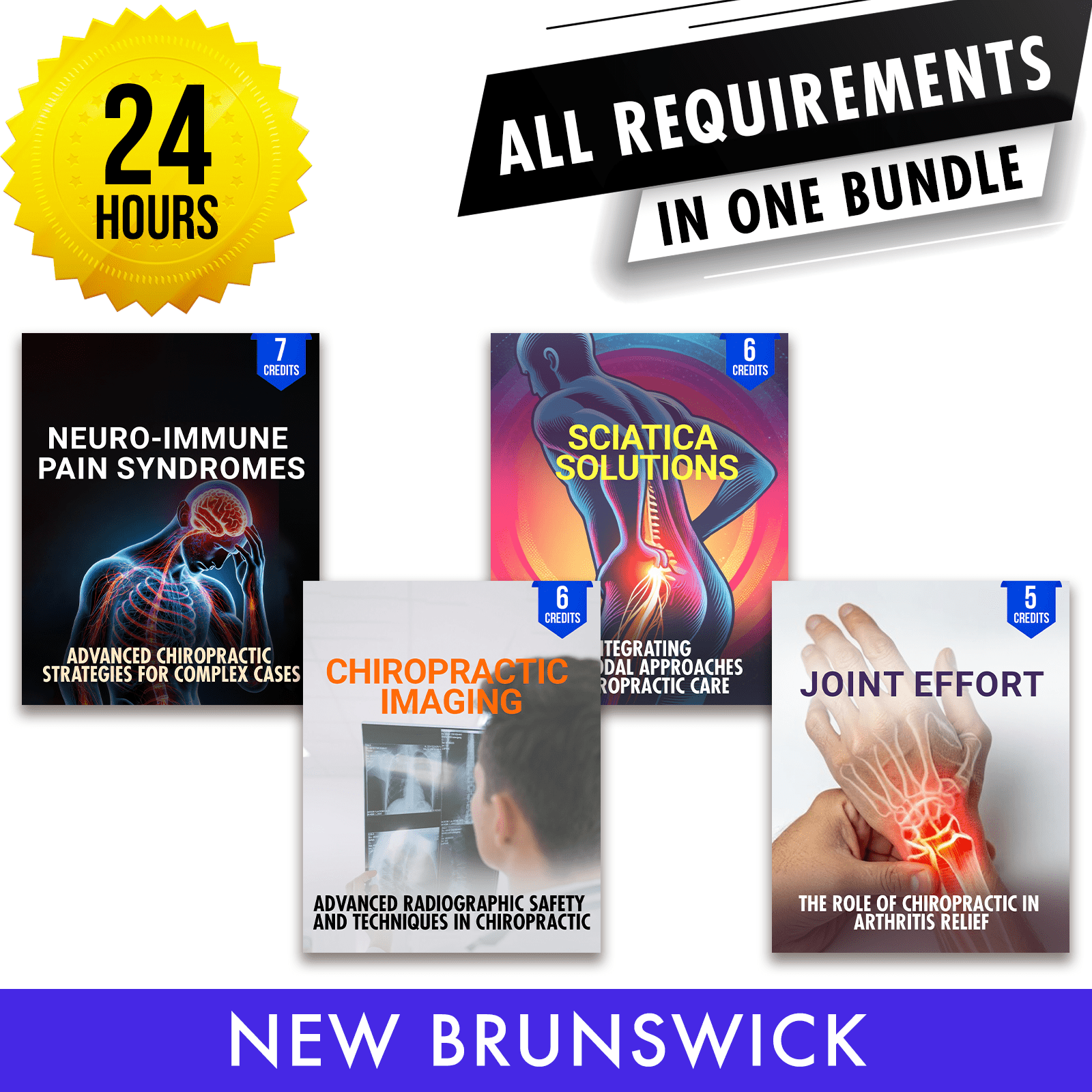 New Brunswick Package 1: Full Recertification - All Required Chiropractic Continuing Professional Development in One Package, 24 Hours A Better Chiro