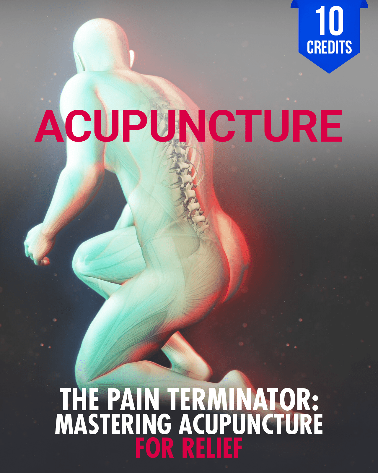 The Pain Terminator: Mastering Acupuncture for Pain Relief - Chiropractic Continuing Education, Acupuncture, 10 Credits A Better Chiro