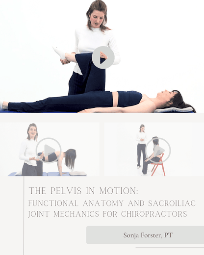 The Pelvis in Motion: Functional Anatomy and Sacroiliac Joint Mechanics for Chiropractors - Chiropractic Continuing Education, Anatomy, 6 Hours A Better Chiro