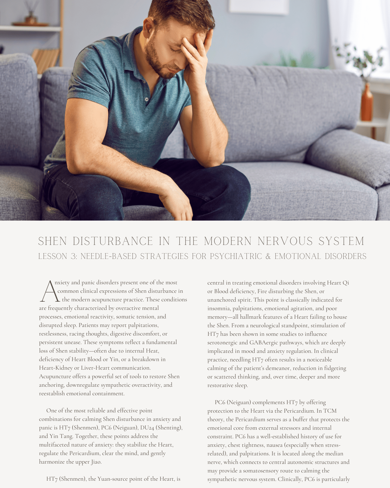 Shen Disturbance in the Modern Nervous System: Acupuncture Strategies for Spirit Regulation and Emotional Balance - Chiropractic Continuing Education, 8 Hours A Better Chiro