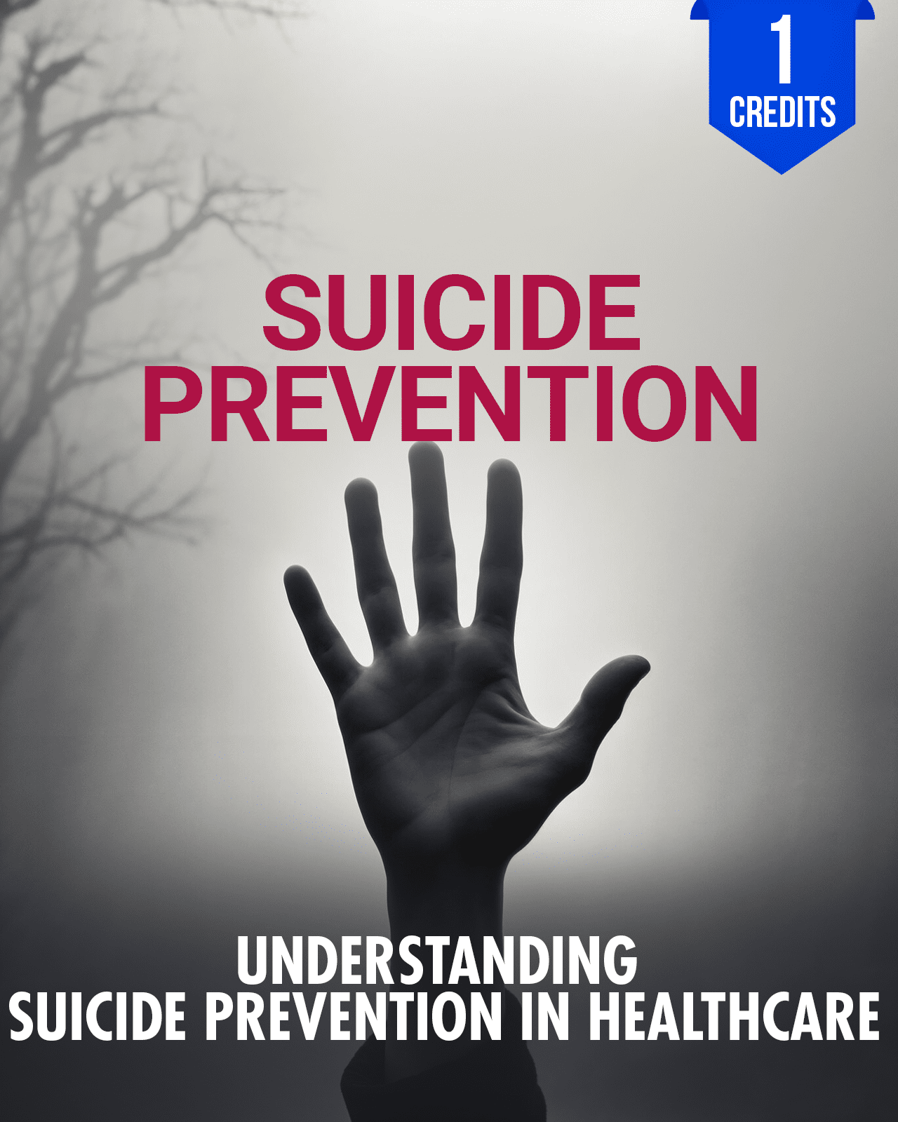 Understanding Suicide Prevention in Healthcare - Chiropractic Continuing Education, Suicide Assessment, 1 Credit A Better Chiro