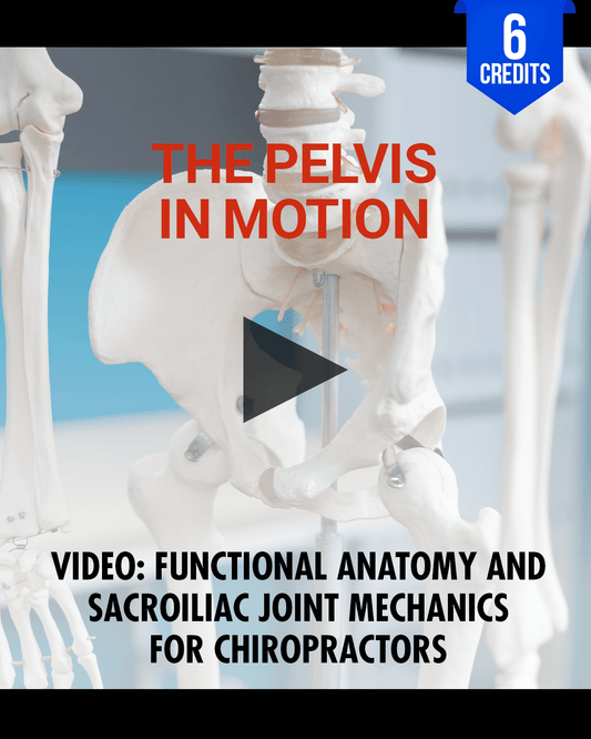 The Pelvis in Motion: Functional Anatomy and Sacroiliac Joint Mechanics for Chiropractors - Chiropractic Continuing Education, Anatomy, 6 Hours A Better Chiro