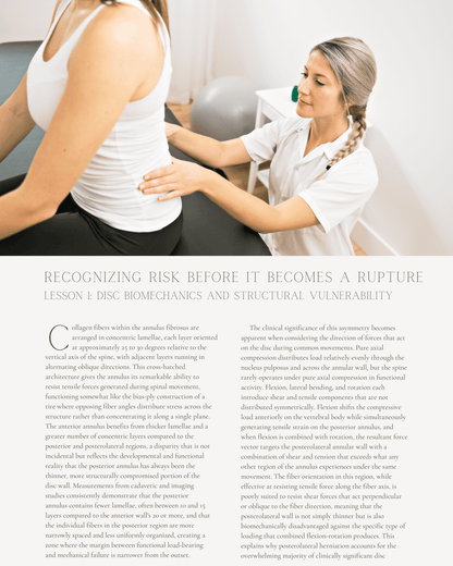 The Disc Under Pressure: Recognizing Risk Before It Becomes a Rupture - Chiropractic Continuing Education, 2 Hours A Better Chiro