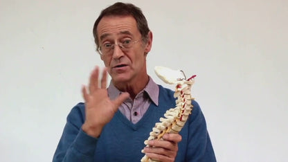 Releasing the Neck: Manual Therapy for Chronic Neck Pain - Chiropractic Continuing Education, Adjunctive/Modalities, 4 Hours