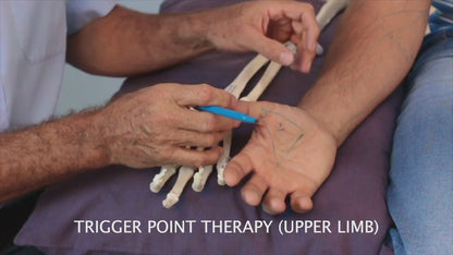 Hands in Focus: Trigger Point Therapy for Elbow, Wrist, and Hand Conditions - Chiropractic Continuing Education, 3 Hours